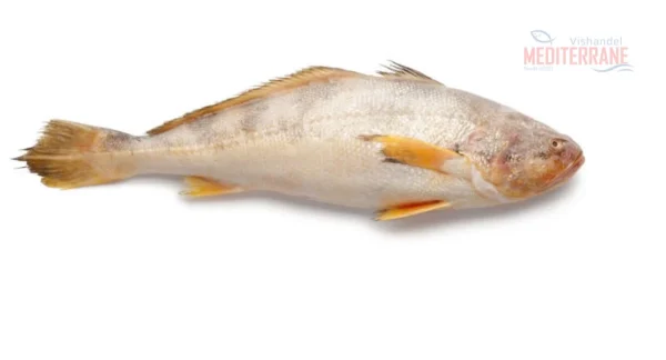 Botervis, c.a 1kg